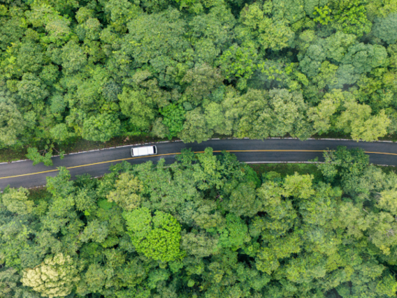 Bird’s-eye view of a car moving through a lush forest