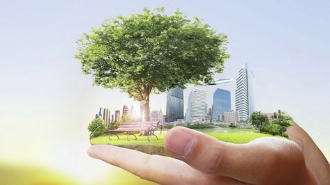 ISO 14001 Environmental Management