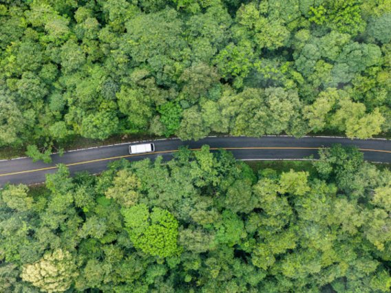 Bird’s-eye view of a car moving through a lush forest Bird’s-eye view of a car moving through a lush forest