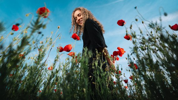 system certification