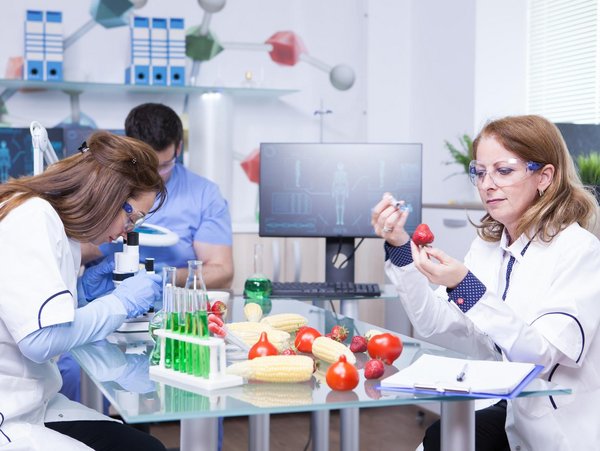 ISO 22000/HACCP
