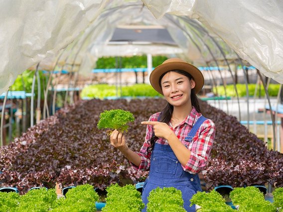 organic organic