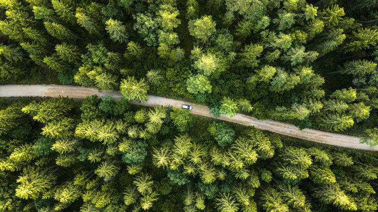 Sustainability and Environmental Management: How Certification Can Help
