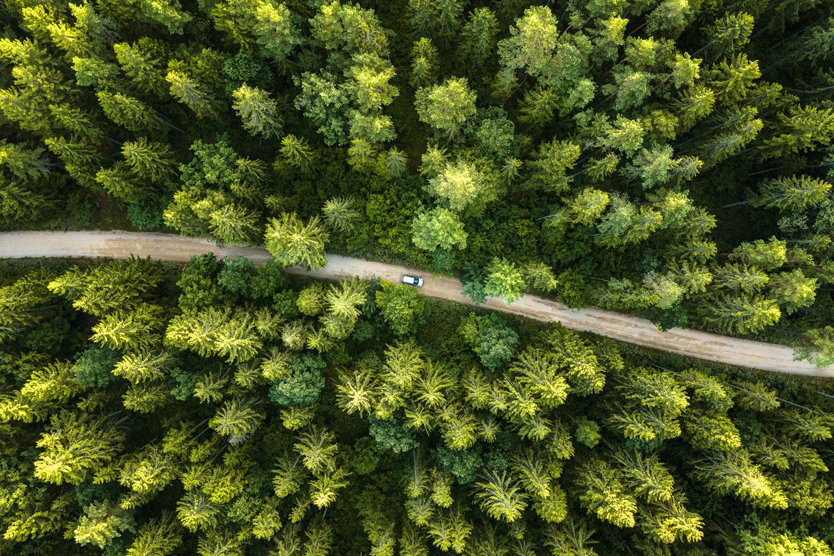 Sustainability and Environmental Management: How Certification Can Help