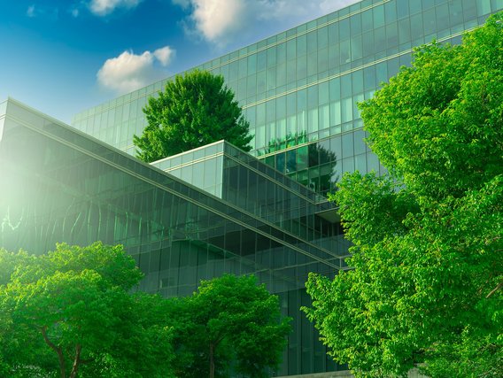 Sustainable Sustainable