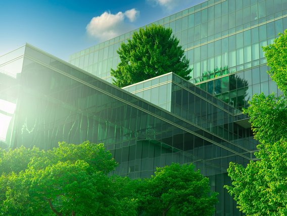 Sustainability Sustainability