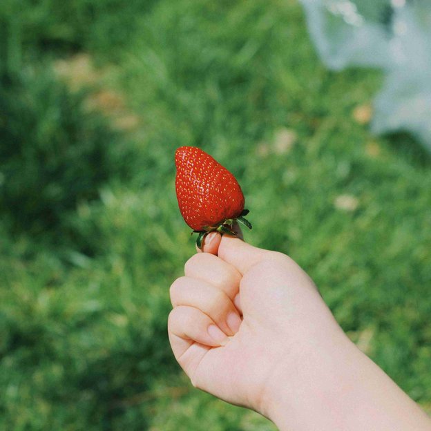 Strawberries