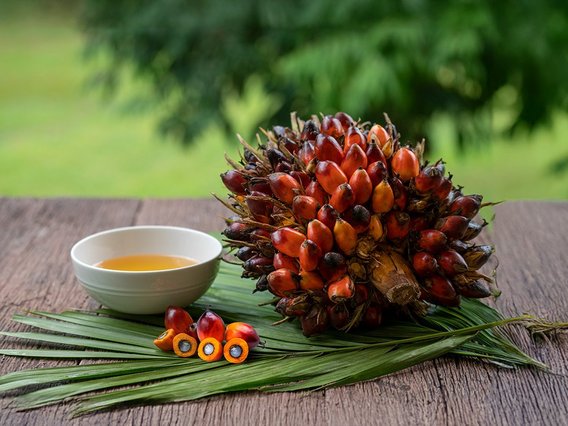 palmoil