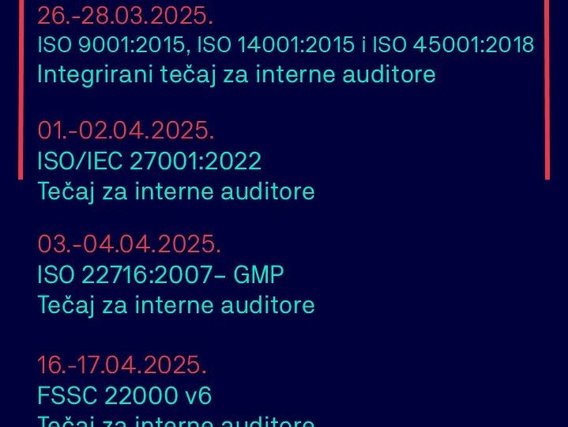 Interni auditor