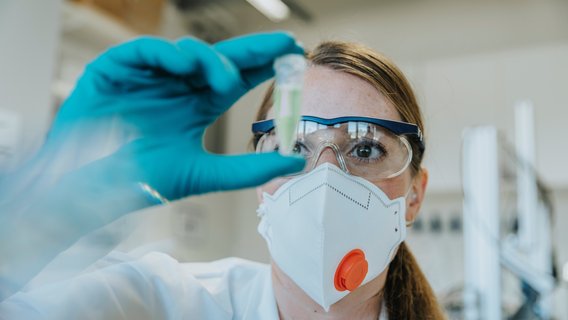 lab