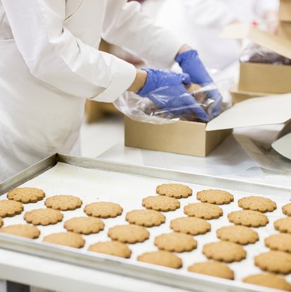 Mitarbeitende verpackt Kekse vom Fließband in eine Schachtel und trägt blaue Handschuhe