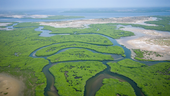 Seenlandschaft, Nachhaltigkeit bei TÜV NORD