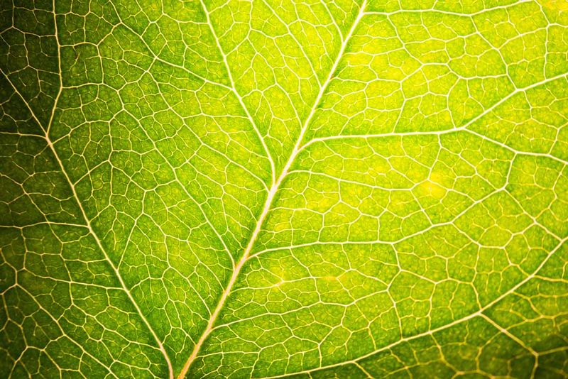 ISO 14001 Leren begrijpen training Advieurs ISO 14001 krav