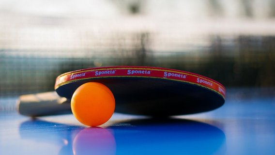 A table tennis paddle and ball poised for action, capturing the essence of sport and active leisure.
