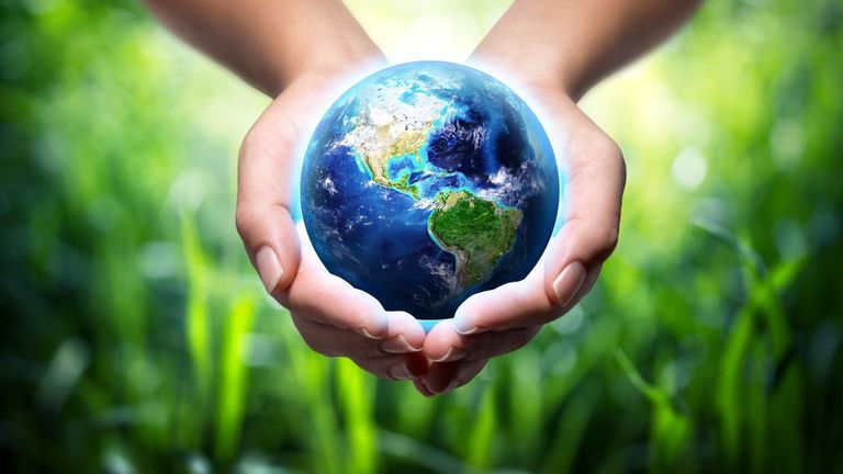 ISO 14001 Environmental Management