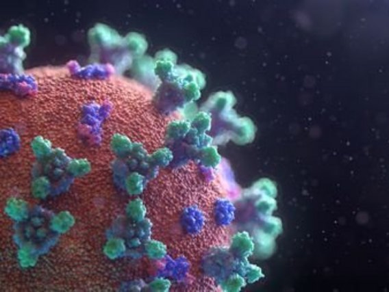Covid-19: Covid-19 / Koronavirus