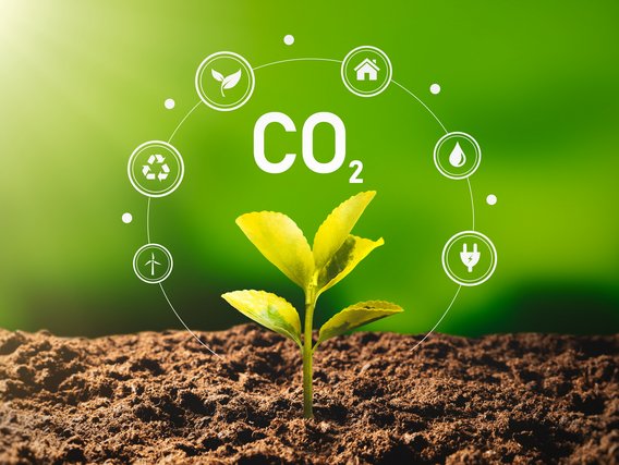 Kako započeti put prema NET ZERO