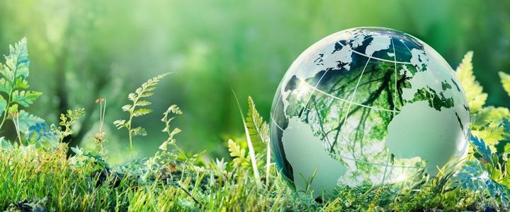 CQI / IRCA Approved Online Lead Auditor Training Program on ISO 14001:2015 Environmental Management System (Weekend Batch)