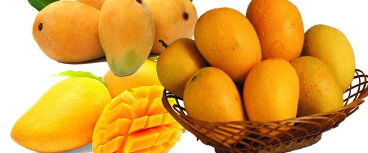 MANGO: Quality Assurance & Pesticide Residue Monitoring