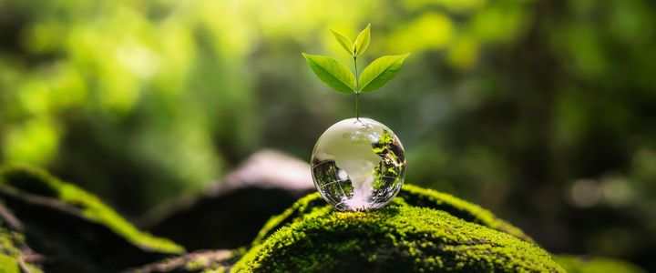 Chứng nhận Carbon & Phát triển Bền vững Quốc tế (International Sustainability & Carbon Certification-ISCC)