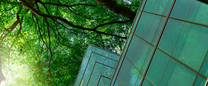 ISO 14001 Environmental Management System